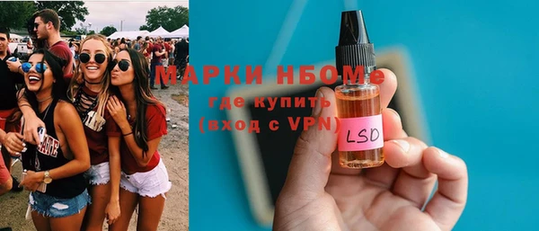 гашик Богородск
