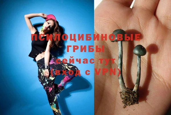 гашик Богородск