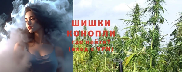 гашик Богородск