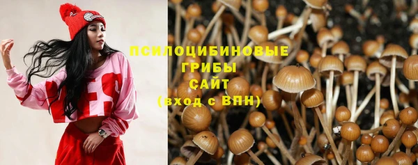 mdma Богданович