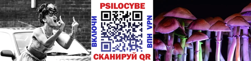 магазин  наркотиков  Светлый  Галлюциногенные грибы прущие грибы 